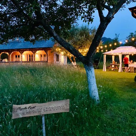 Magnolia Resort Chalets Vişeu de Sus エクステリア 写真
