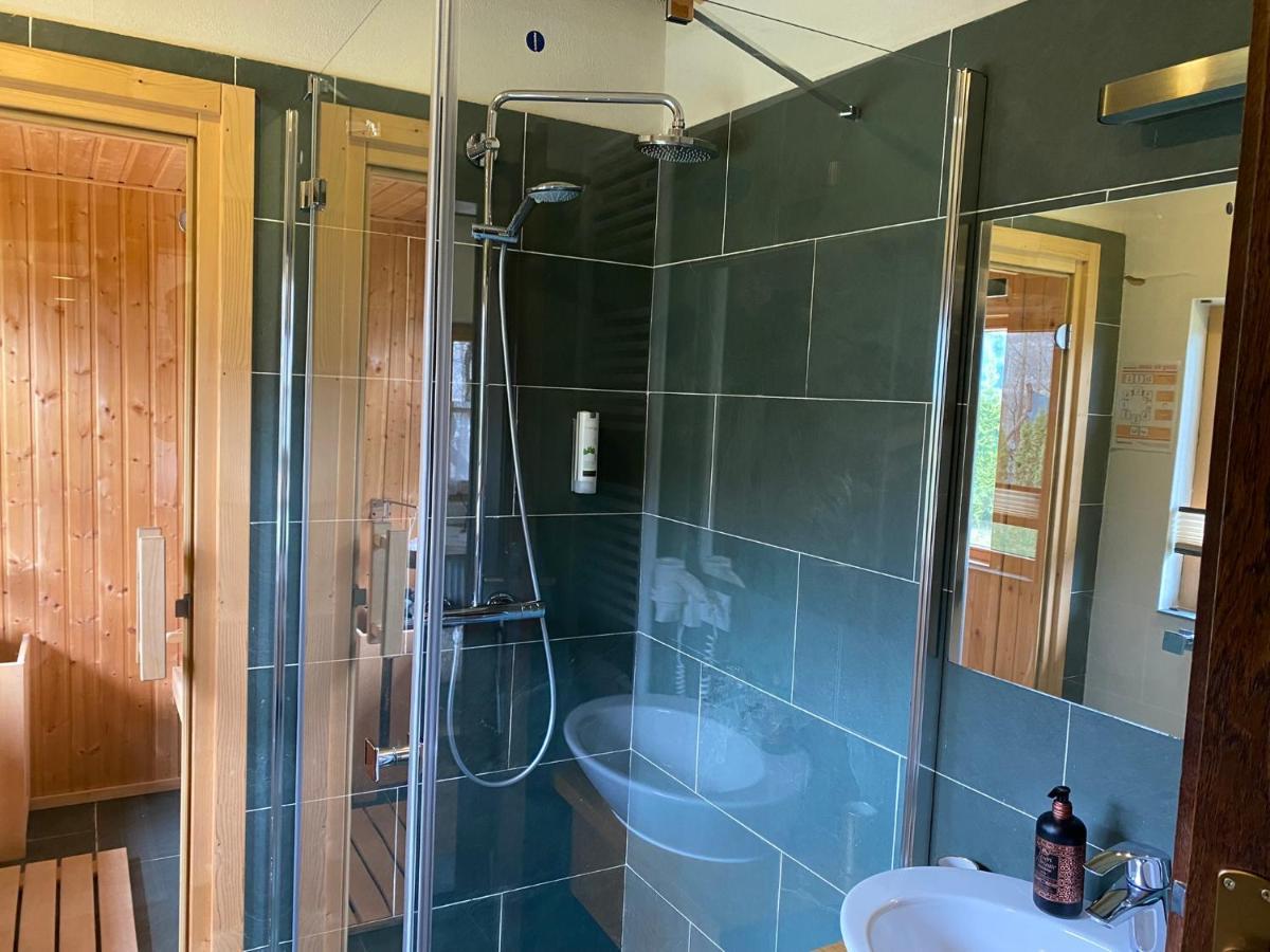 Magnolia Resort Chalets Vişeu de Sus エクステリア 写真