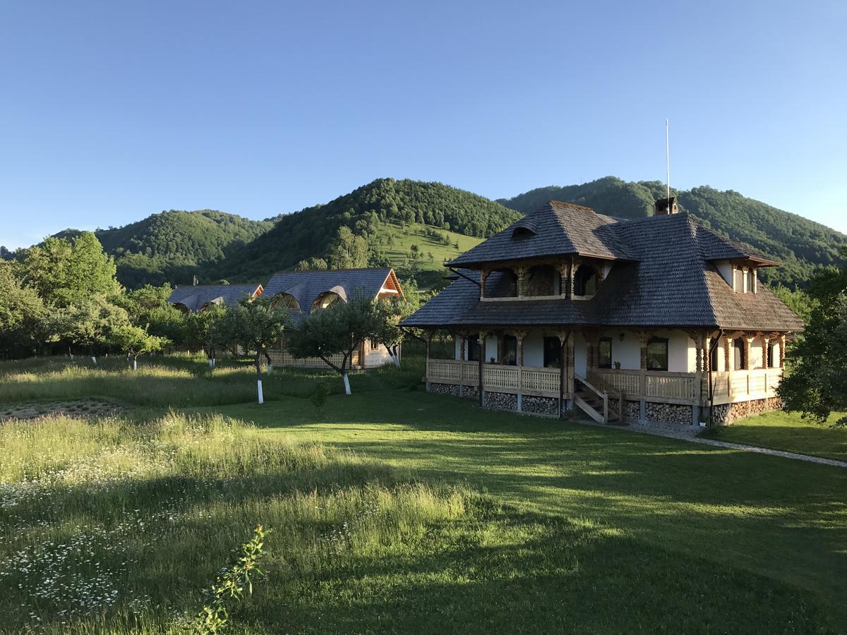 Magnolia Resort Chalets Vişeu de Sus エクステリア 写真